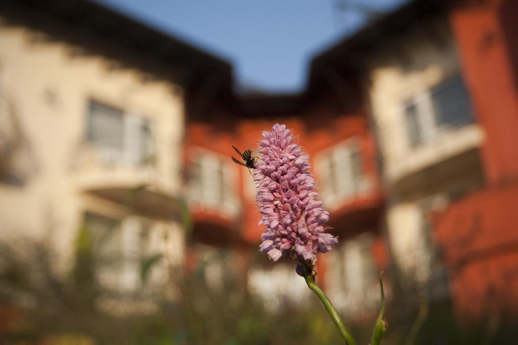 Szonyi Garden Hotel Pest Budapest Exterior foto